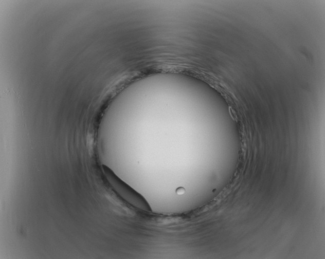 X0000114630716200910201022