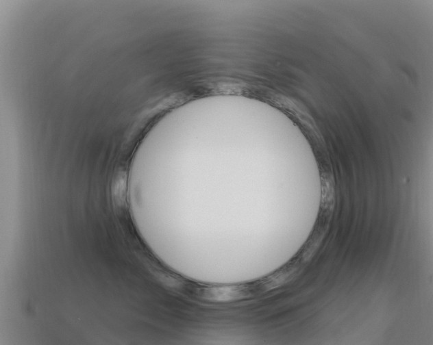 X0000114630717200910201022