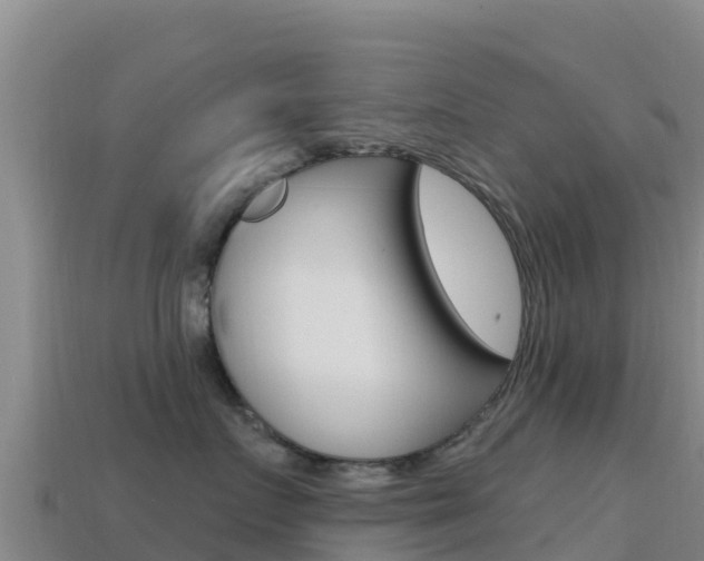 X0000114630719200910201022