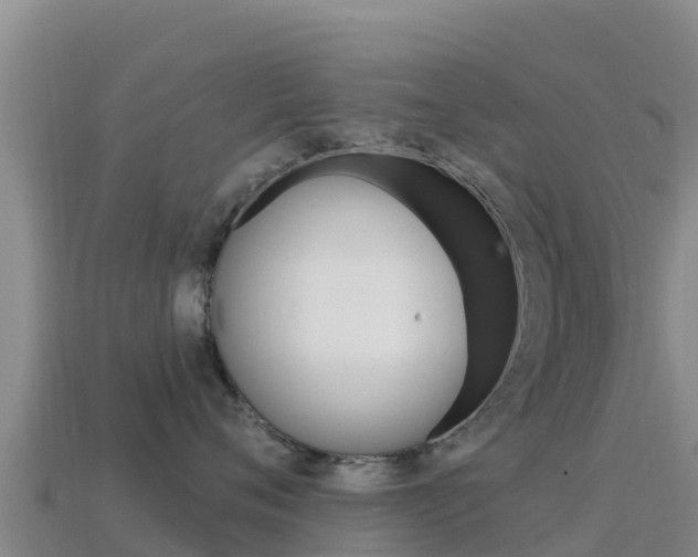 X0000114630720200910201022