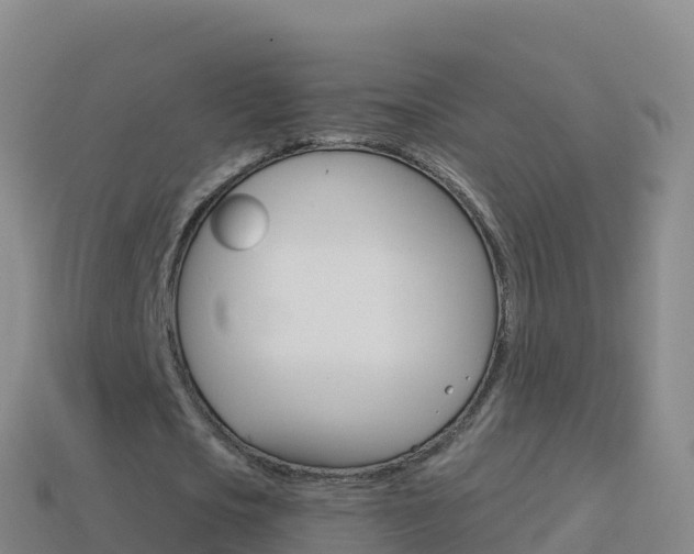 X0000114630721200910201021