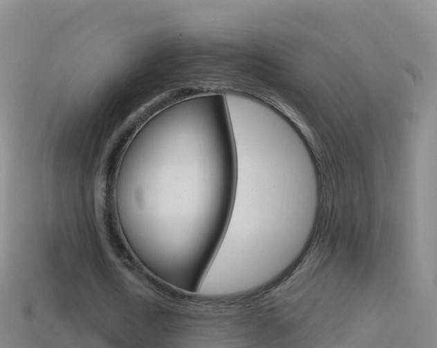 X0000114630722200910201021