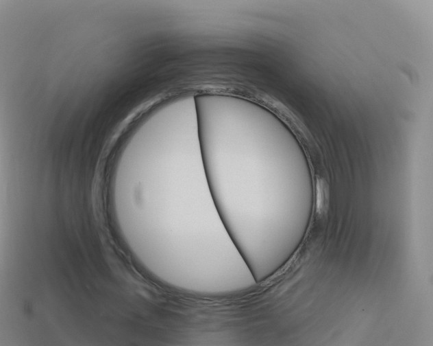X0000114630723200910201021