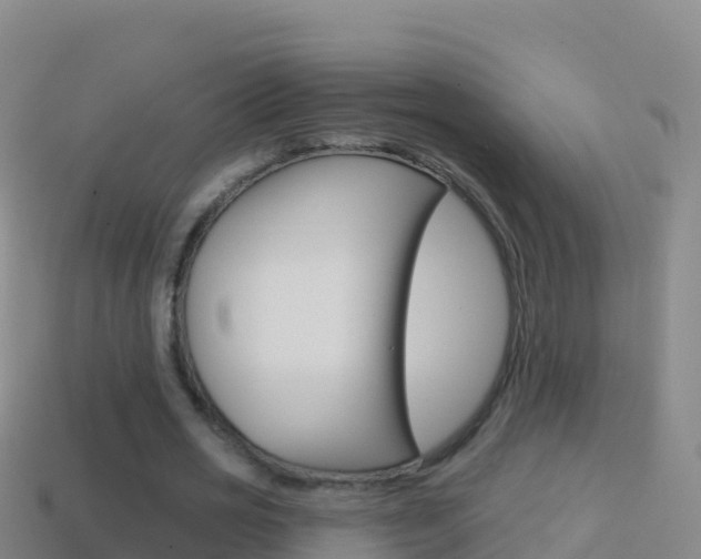 X0000114630725200910201021