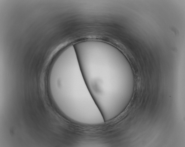 X0000114630727200910201021