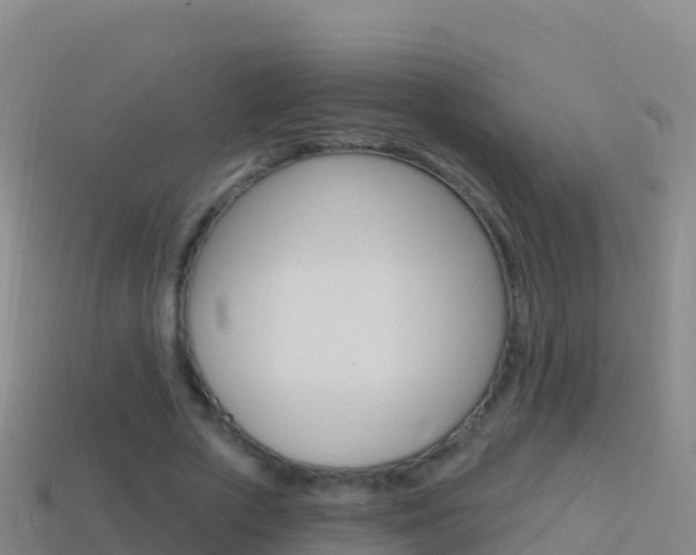 X0000114630729200910201021