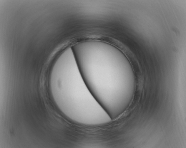 X0000114630731200910201021