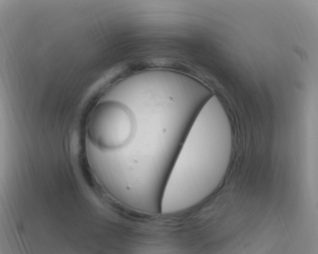 X0000114630734200910201021