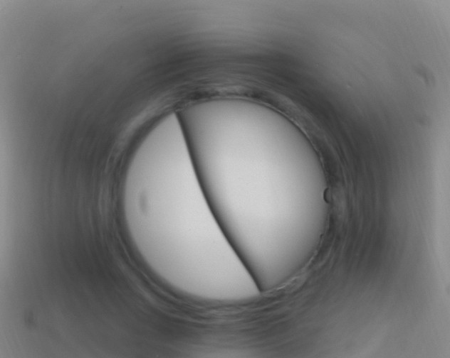 X0000114630735200910201021