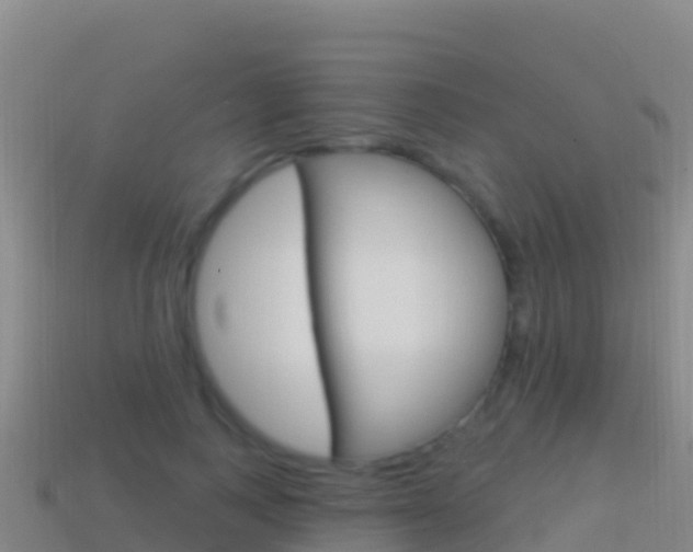 X0000114630743200910201021