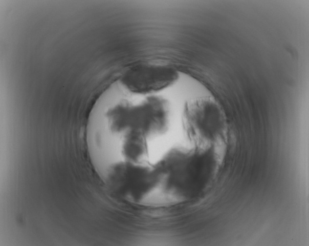 X0000114630745200910201021