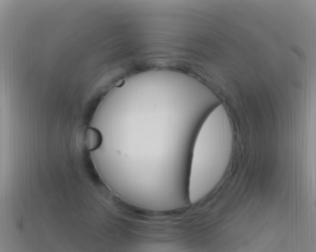 X0000114630746200910201021