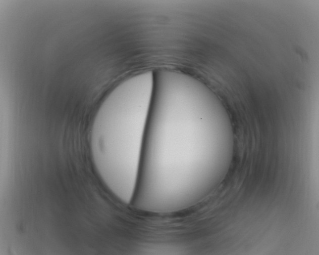 X0000114630747200910201021