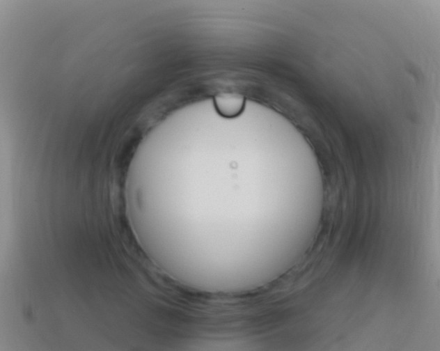 X0000114630749200910201021