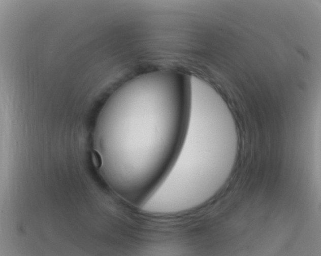 X0000114630750200910201021
