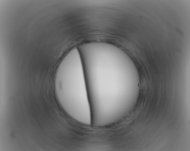 X0000114630751200910201021