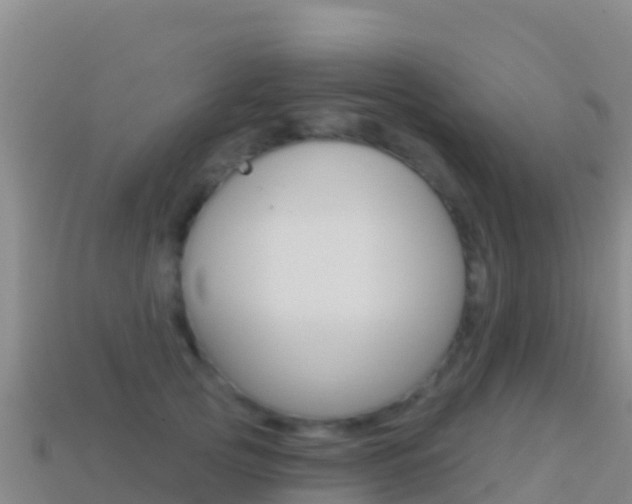 X0000114630753200910201021