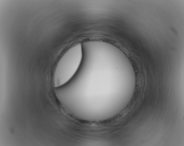X0000114630755200910201021