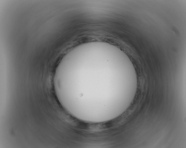 X0000114630757200910201021