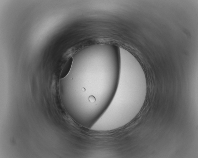 X0000114630762200910201021
