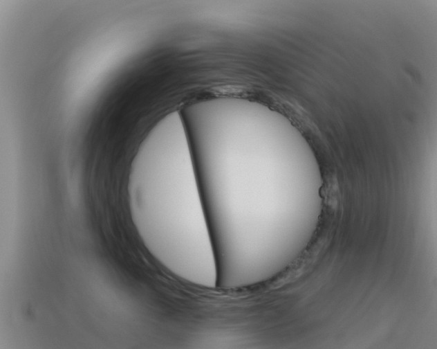 X0000114630763200910201021