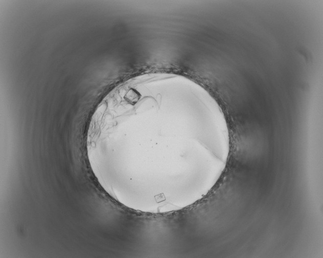 X0000114630769200910201021