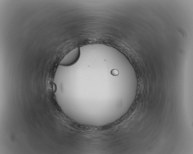 X0000114630770200910201021