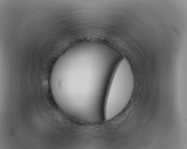 X0000114630771200910201021