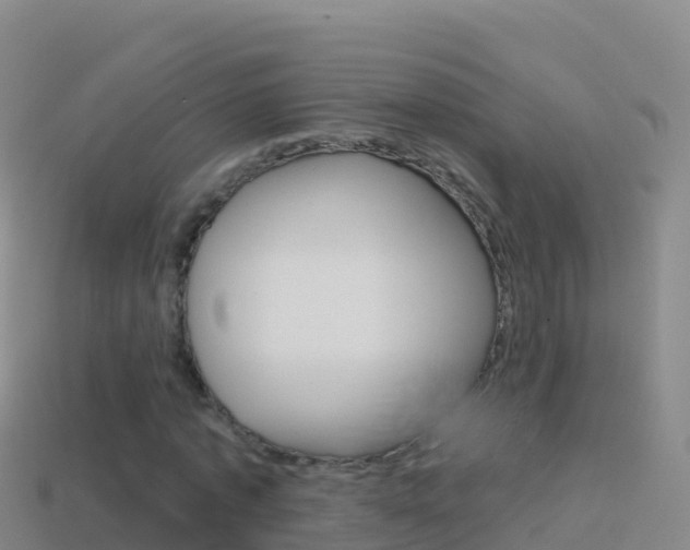 X0000114630773200910201021