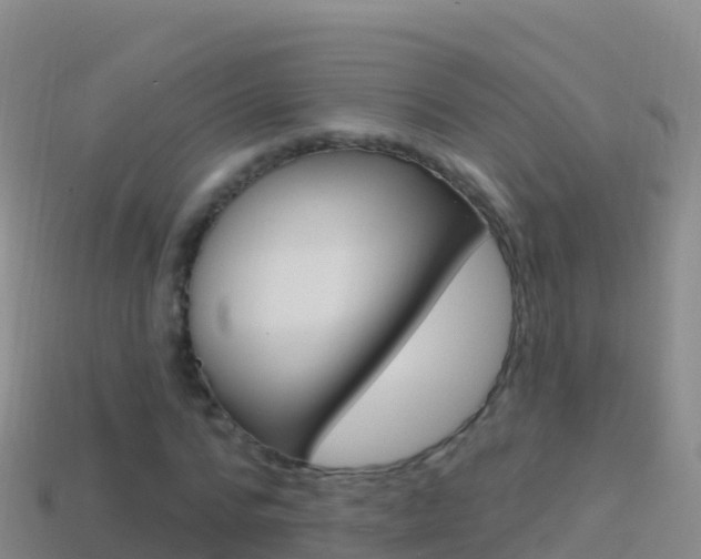 X0000114630776200910201021