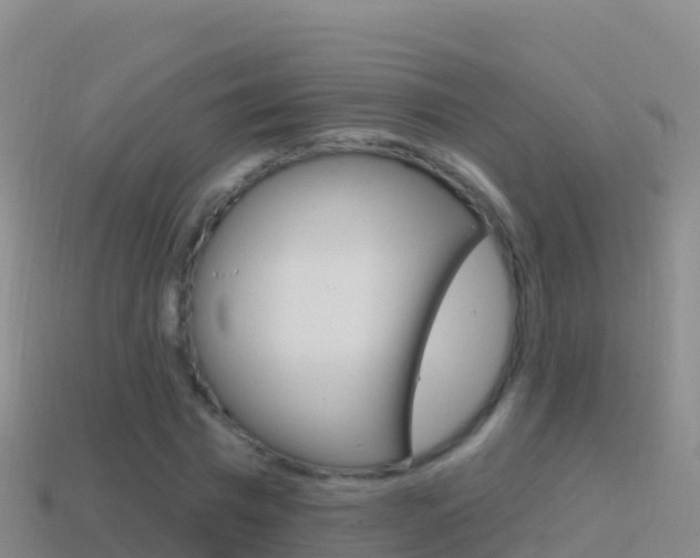 X0000114630777200910201021