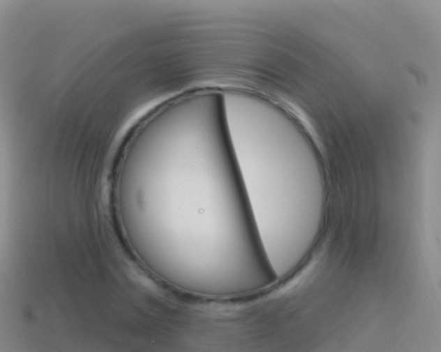 X0000114630779200910201021