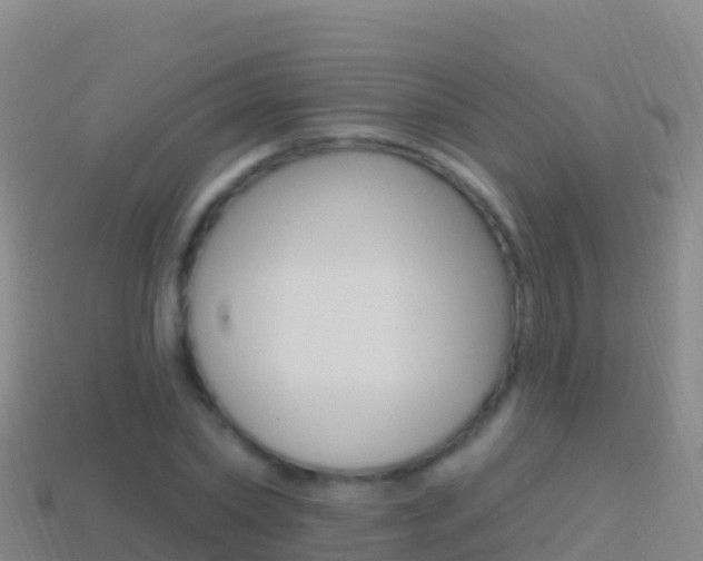 X0000114630782200910201021