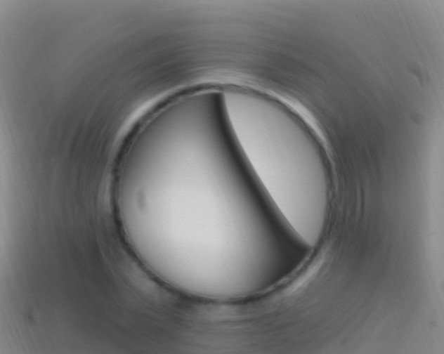 X0000114630783200910201021