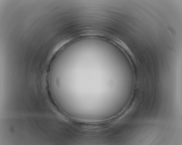 X0000114630786200910201021