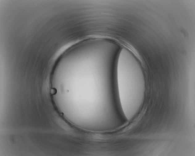 X0000114630787200910201021