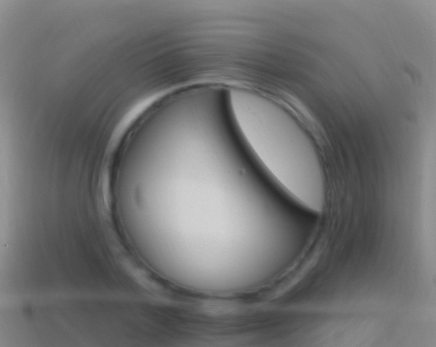 X0000114630788200910201021