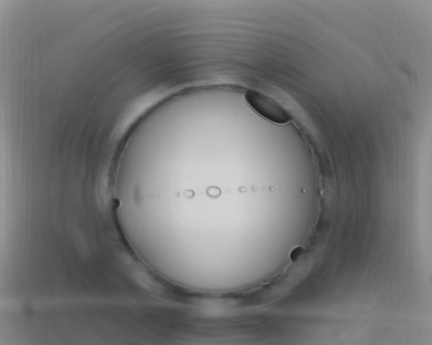 X0000114630789200910201021