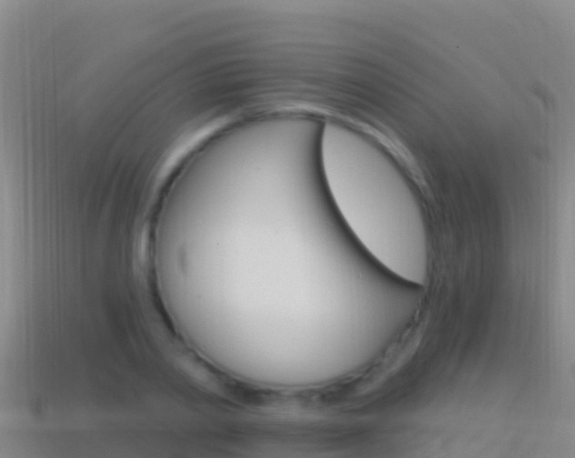 X0000114630790200910201021