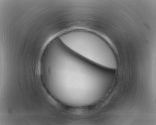 X0000114630791200910201021