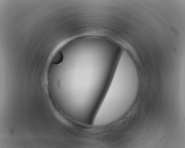X0000114630792200910201021