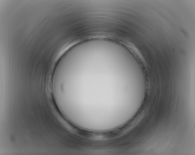 X0000114630794200910201021