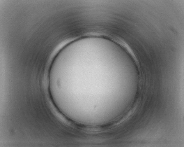 X0000114630795200910201021