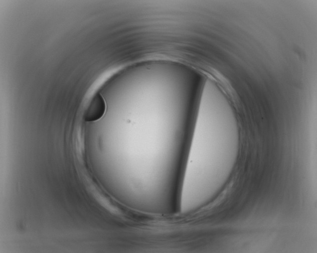 X0000114630796200910201021