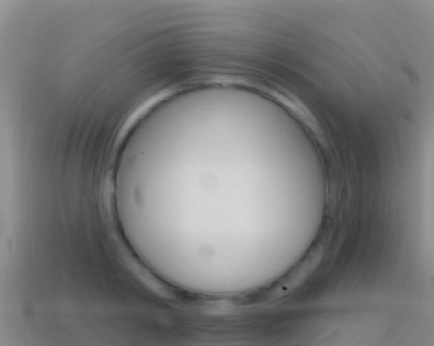 X0000114630798200910201021