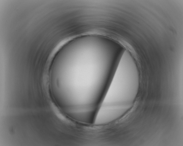 X0000114630800200910201021