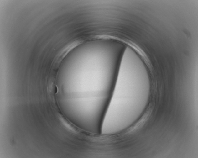 X0000114630801200910201021