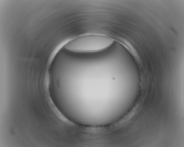 X0000114630804200910201020