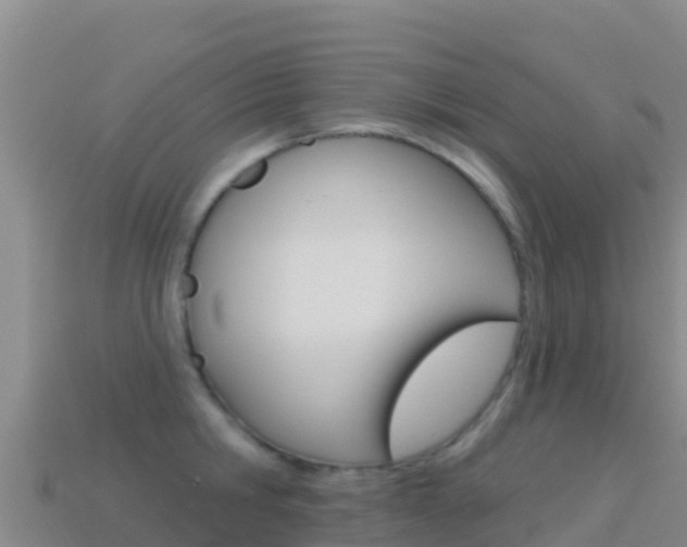 X0000114630806200910201020