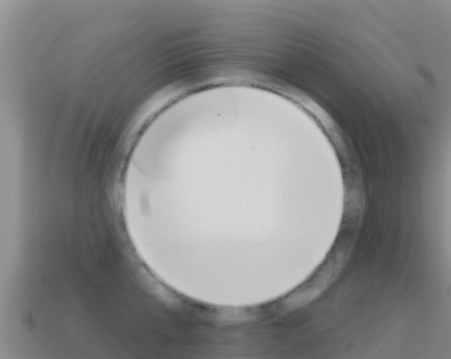 X0000114630807200910201020